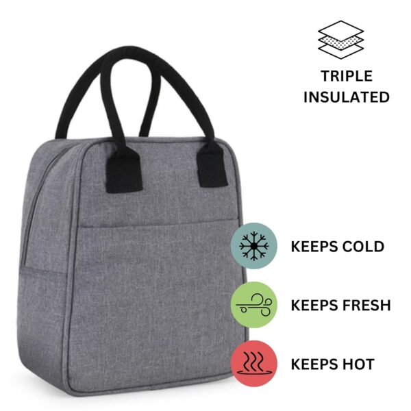 1734243965 Alt Co Insulated Lunch Bag for Office for Women and Men Leakproof Tiffin Carry Bag for Office College and School with Strong Handles Wide Pockets and Bottle Holder Grey