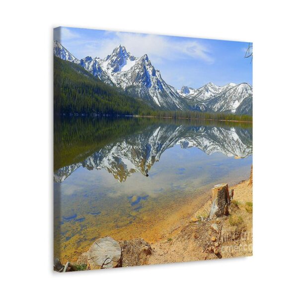 1734489251 GADGETS WRAP Canvas Gallery Wrap Framed for Home Office Studio Living Room Decoration 10x10inch Stanley Images